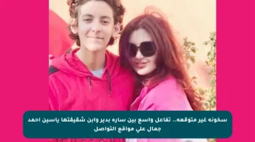 سخونة غير متوقعة.. تفاعل واسع بين سارة بدير وابن شقيقتها ياسين أحمد جمال على مواقع التواصل